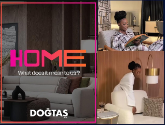 Dogtas Furniture