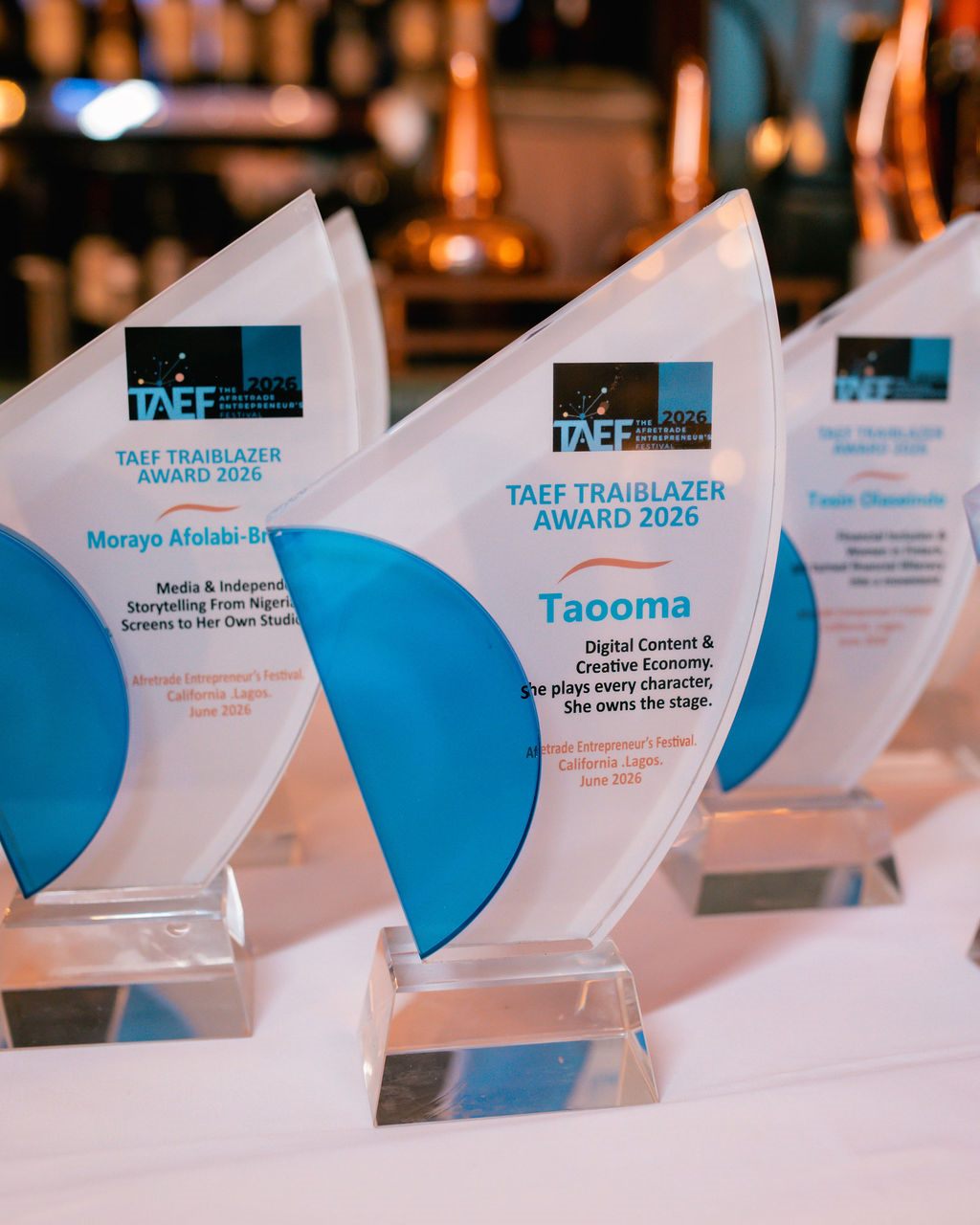 TAEF Trailblazer Award detail