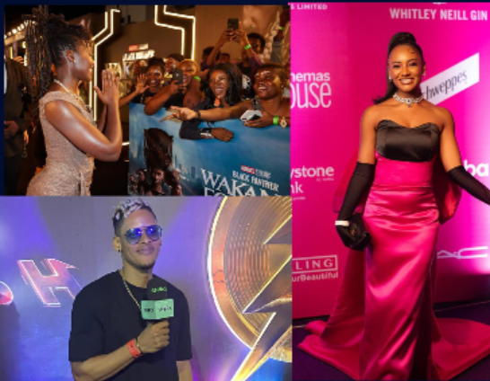 Film & Entertainment